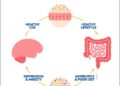 Gut-Brain Axis Info | Gastroenterology of Greater Orlando