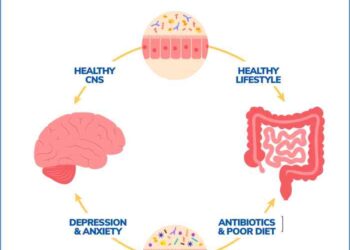 Gut-Brain Axis Info | Gastroenterology of Greater Orlando