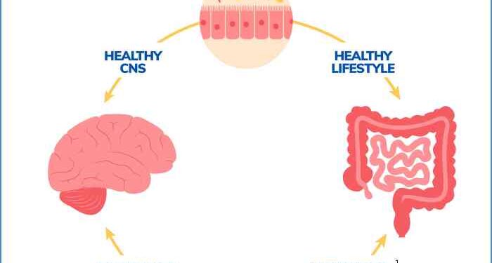 Gut-Brain Axis Info | Gastroenterology of Greater Orlando