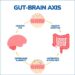 Gut-Brain Axis Info | Gastroenterology of Greater Orlando
