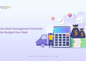 Why use Fleet Management System to budget your fleet?