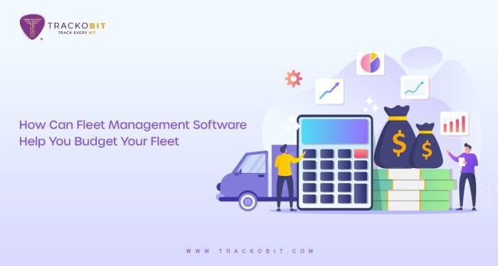 Why use Fleet Management System to budget your fleet?